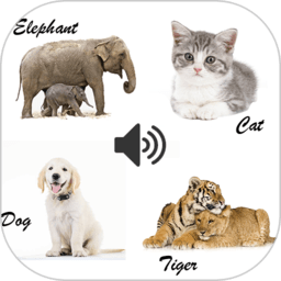 動物和聲音