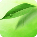 中醫執業醫師app