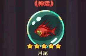 咸魚之王月尾分析及搭配詳解