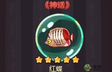 咸魚之王紅蝶分析及搭配詳解